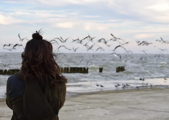 54° Nord 1 * Grömitz